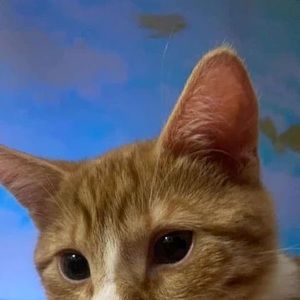 Meet your Posher, Karina